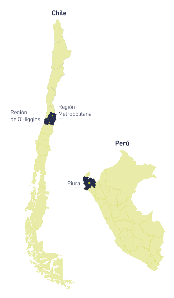Uva de Mesa Gesex