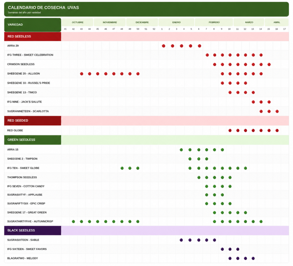 calendario_uvas op 3
